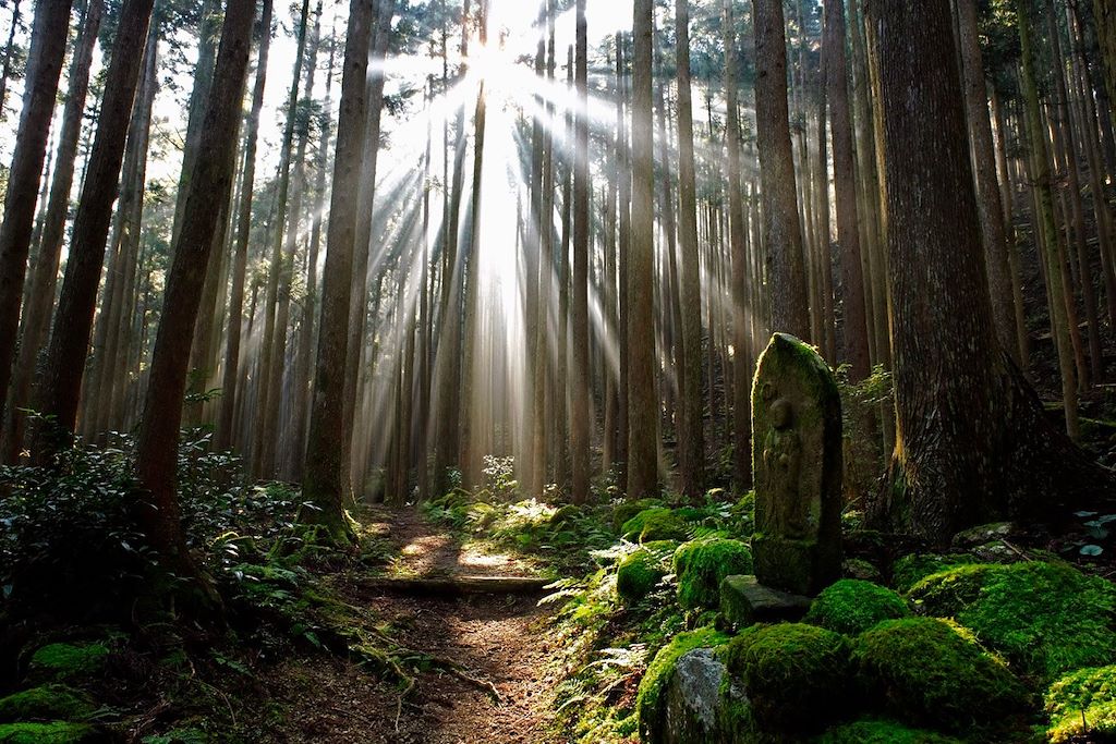 Voyage Randonnée au cœur du Japon ancestral 1