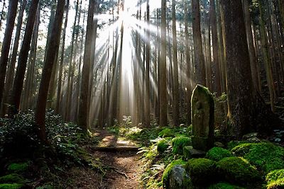 Ogumotori - Kumano - Wakayama - Japon