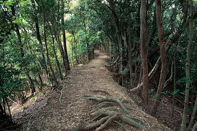 Kumano Kodo - Ohechi - Japon