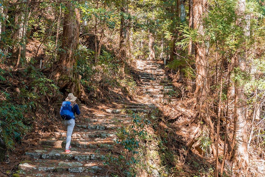 Image randonnée Kumano Kodo - Pélerinage Japon