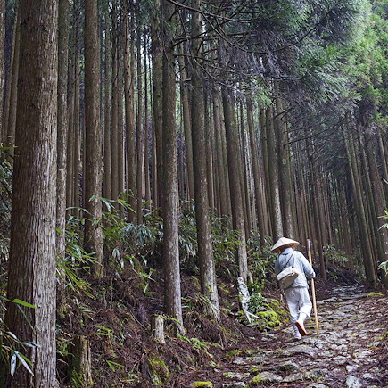 Randonnée au cœur du Japon ancestral