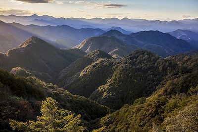 Chaîne de montagnes sacrées Kii, au Japon