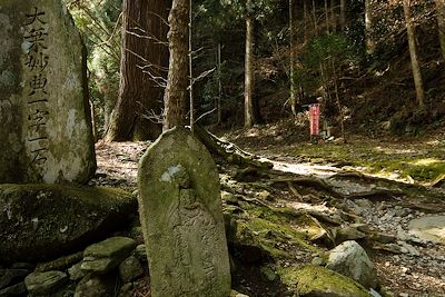 Temple n°45 Iwaya-ji - temple de la Grotte rocheuse - île de Shikoku - Japon