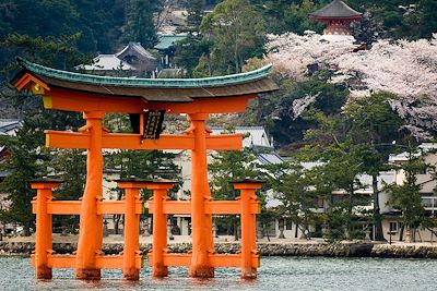© Christophe Migeon - Torii flottant - île de Miyajima - Japon Torii flottant - île de Miyajima - Japon