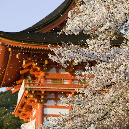 Shikoku, sentiers du pèlerinage des 88 temples