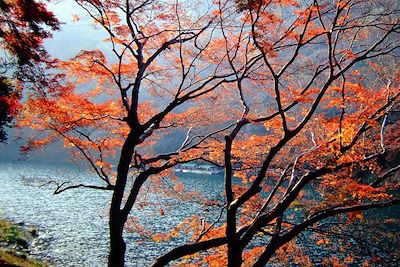 Saga Arashiyama - Sagano - Japon