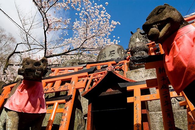 Voyage : Voyage insolite au Japon, de Tokyo à Miyajima Voyage Voyage insolite au Japon, de Tokyo à Miyajima