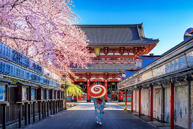 Voyage Voyage insolite au Japon, de Tokyo à Miyajima