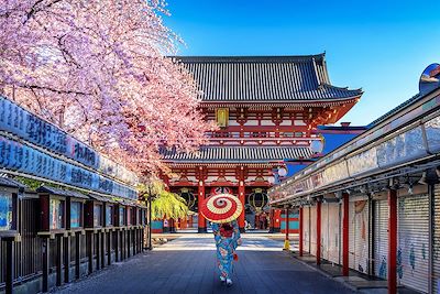 Voyage insolite au Japon, de Tokyo à Miyajima