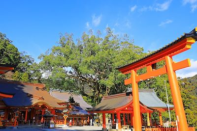 Kumano Nachi Taisha - Kumano Kodo - Nachikatsuura - Préfecture de Wakayama - Japon