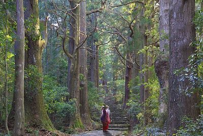 Le pèlerinage du Kumano Kodo au Japon