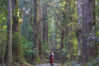 Voyage Du Kumano kodo à l'ancienne route des montagnes  1