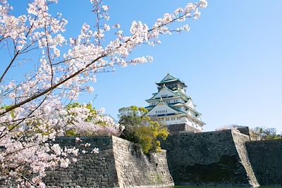 Château d'Osaka - Région du Kansai - Japon