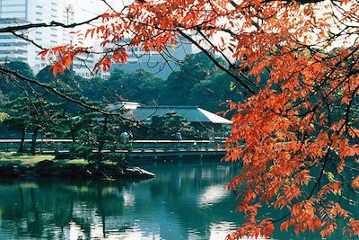 Jardins de Hamarikyu - Tokyo - Japon