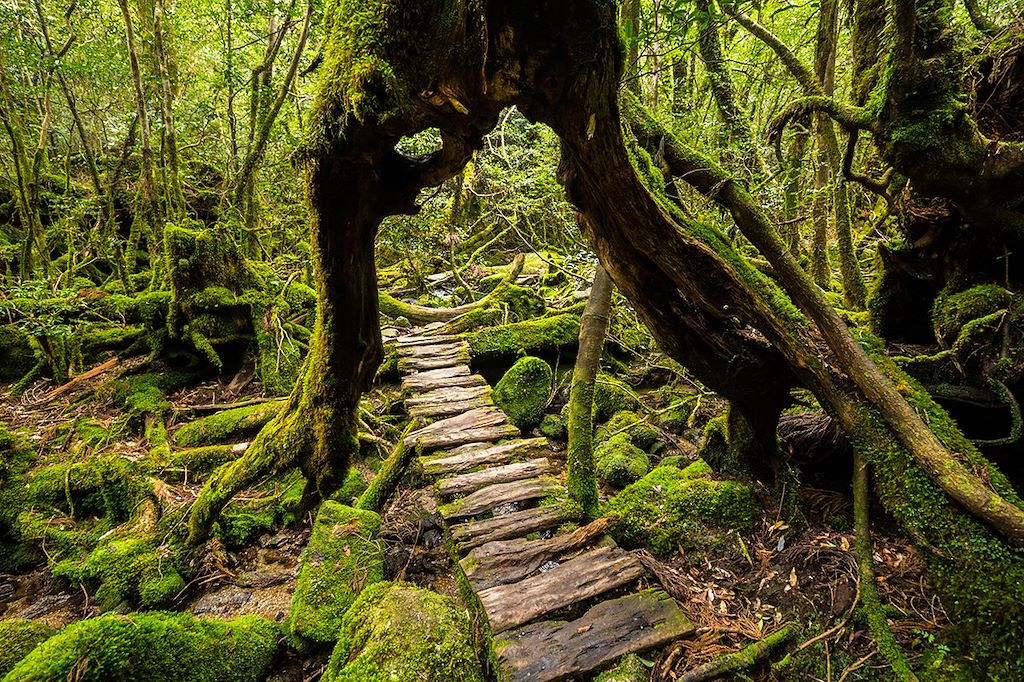 Image road trip Kyushu - volcans