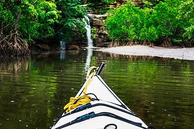 Kayak - rivière d'Urauchi - île d'Iriomote-jima - Ishigaki - Japon 