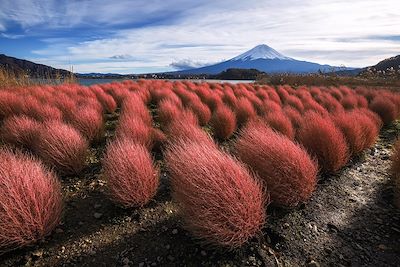 Tokyo, Kyoto et Alpes japonaises