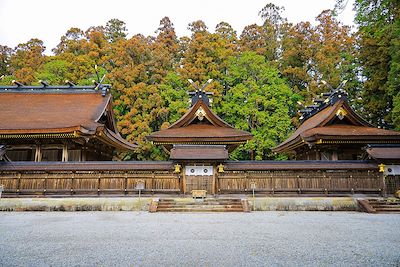 © Wakayama Tourism Federation - Sanctuaire Kumano Hongu Taisha - Kumano Kodo - Tanabe - Préfecture de Wakayama - Japon Sanctuaire Kumano Hongu Taisha - Kumano Kodo - Tanabe - Préfecture de Wakayama - Japon