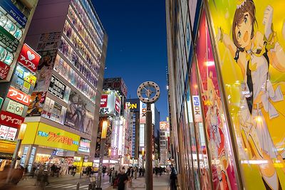 © Oliver Bolch/Anzenberger-REA - Quartier Akihabara - Tokyo - Japon Quartier Akihabara - Tokyo - Japon