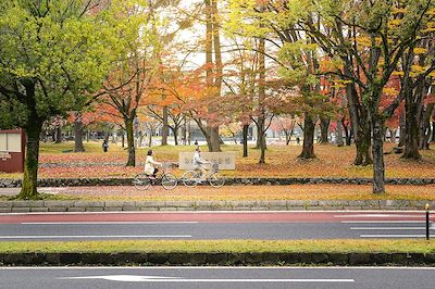 Voyage Patrimoine et Nature Japon