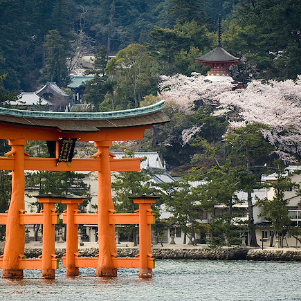 Découverte Japon