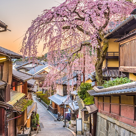 Découverte Japon