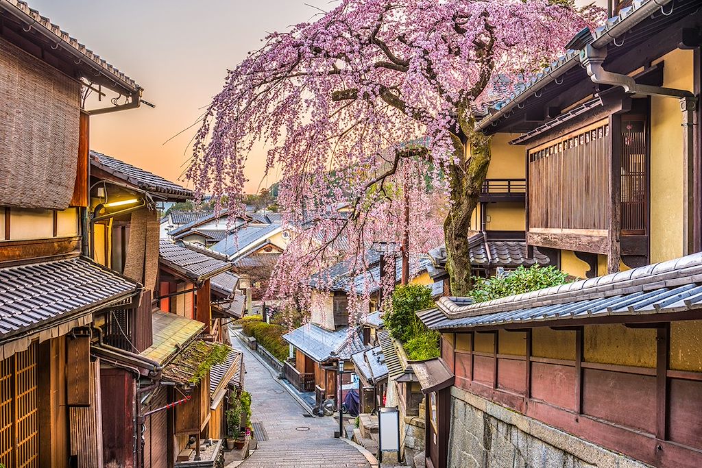 Image Randonnée Miyajima - Visite Temples Kyoto - Découverte Nara