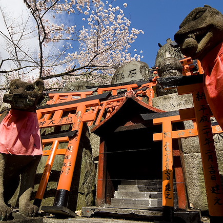 Découverte Japon