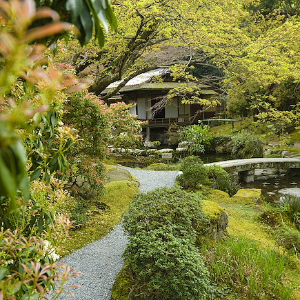 Découverte Japon