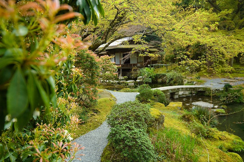 Image Randonnée Mont Fuji - Visite Tokyo - Découverte Kyoto
