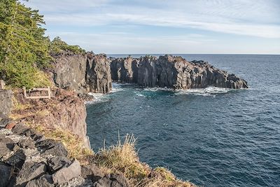 Côte de Jogasaki - Shizuoka - Japon