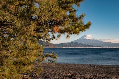 Miho no Matsubara avec vue sur le Mont Fuji - Japon