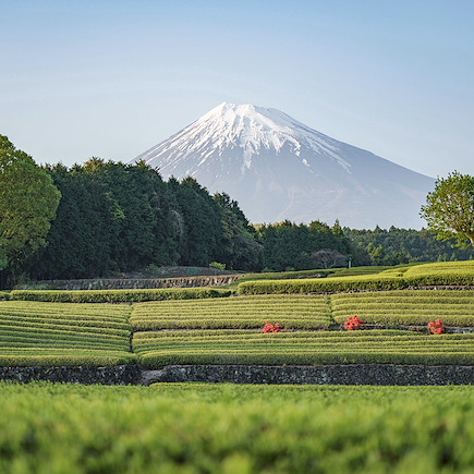 Découverte Japon