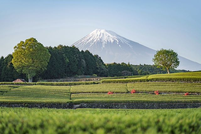 Découverte Japon