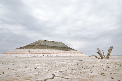 Désert du Mangyastau - Kazakhstan 