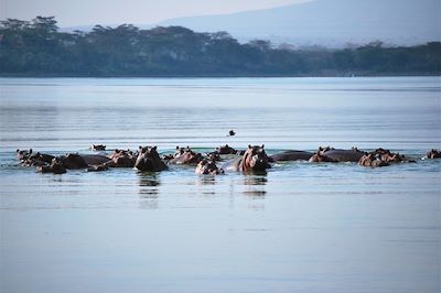 Réserve naturelle de la presqu'île de Crescent island - Kenya