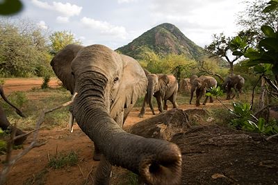 Voyage Région des lacs du Kenya