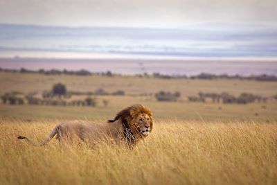 Voyage Karibu Kenya ! 2