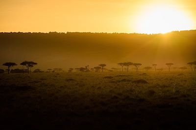 Olonana Tented Camp - Reserve de Masai Mara - Kenya