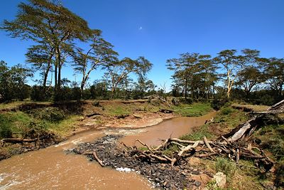 Parc national de Meru - Kenya