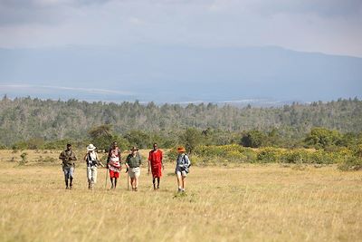 © Michel Laplace-Toulouse - Plateau de Laikipia - Forêt de Mugokodo - Kenya Plateau de Laikipia - Forêt de Mugokodo - Kenya