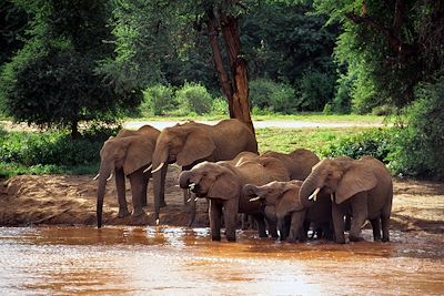 Kenya magique entre parcs nationaux et ranch privé