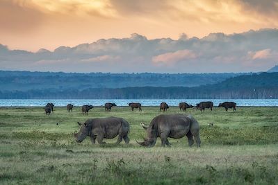 Voyage  Région des lacs du Kenya