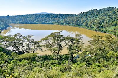 Lac Naivasha - Kenya