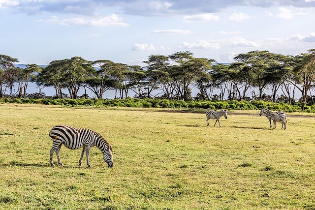 Voyage Safaris & détente au Kenya 