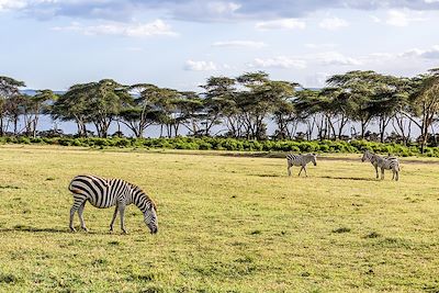 Safaris & détente au Kenya 