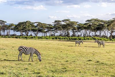 Voyage Région des lacs du Kenya