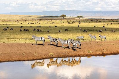 Voyage Safaris & détente au Kenya  1