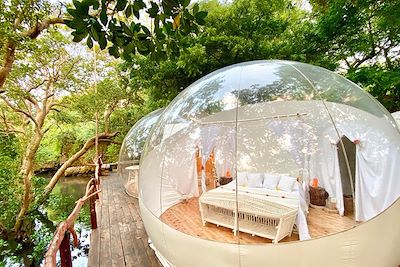 Bobab bubble lodge - Votre hébergement au Kenya 