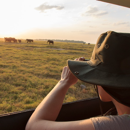 Safari Kenya Masaï Mara